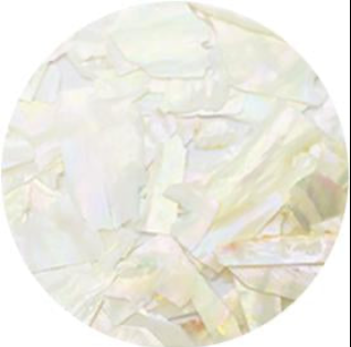 Ageha Shell Collection BZ & NZ Series