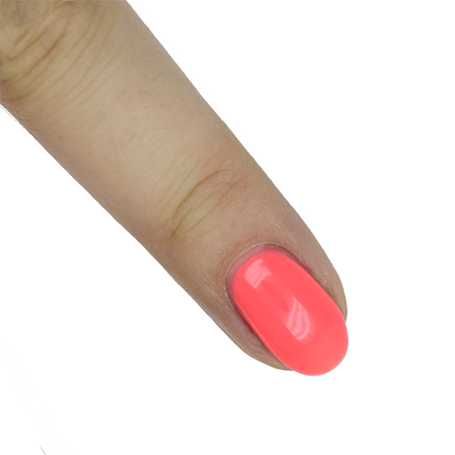 Presto #087