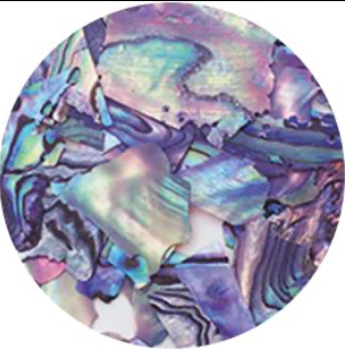 Ageha Shell Collection BZ & NZ Series