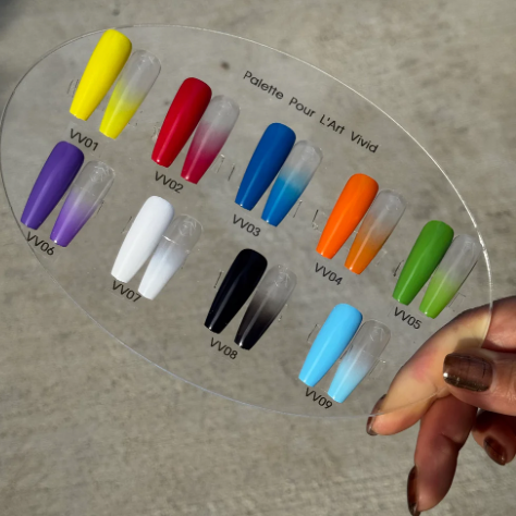 Presto Mini Art Sponge Set