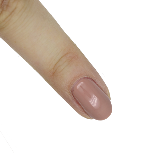 Presto #064