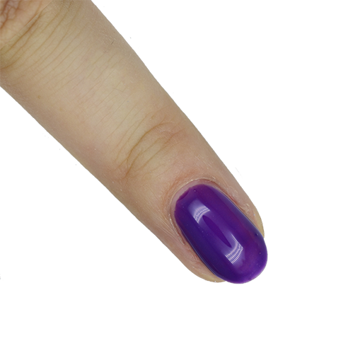 Presto #081