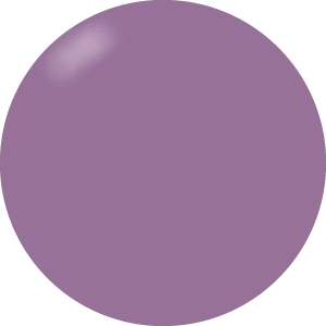 Presto S421