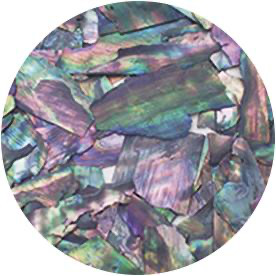 Ageha Shell Collection BZ & NZ Series