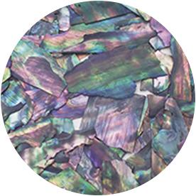 Ageha Shell Collection BZ & NZ Series